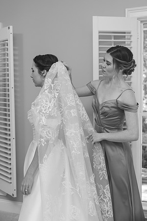 Mr. and Mrs. Williams