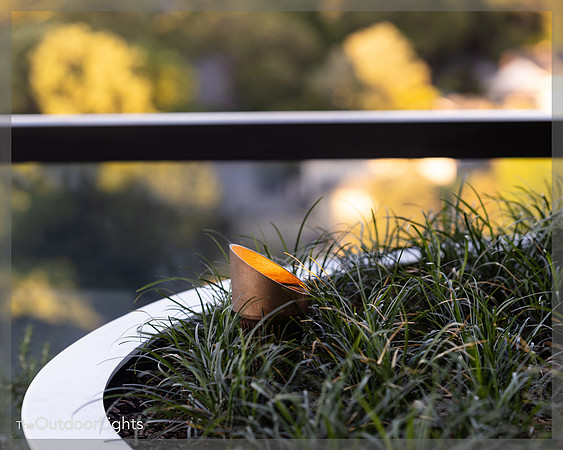 8x10 Web w/logo