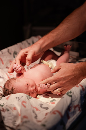Nora Elizabeth