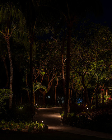 AS5A6629-HDR