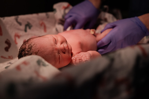 Nora Elizabeth