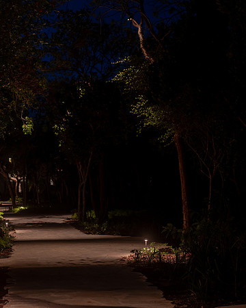 AS5A6584-HDR