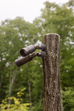 4x6 Full