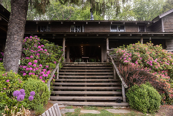 4x6 Web