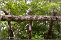 4x6 Web w/watermark