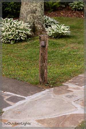 4x6 Web w/watermark