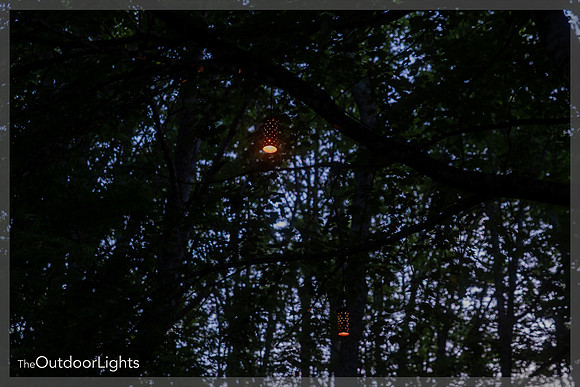 4x6 Web w/watermark