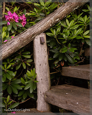 8x10 Web w/ watermark