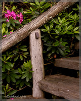 8x10 Full w/ watermark