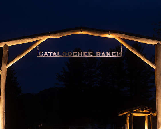 8x10 Web