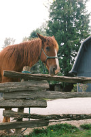 Cataloochee Ranch