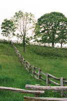 Cataloochee Ranch