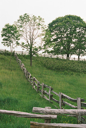 Cataloochee Ranch