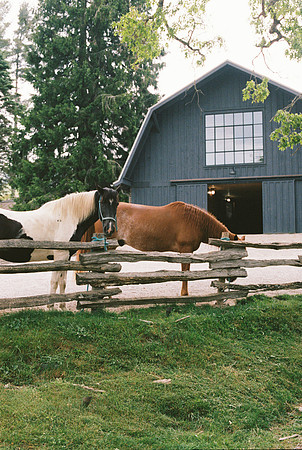 Cataloochee Ranch