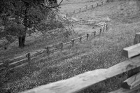Cataloochee Ranch