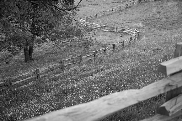 Cataloochee Ranch