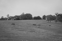 Cataloochee Ranch