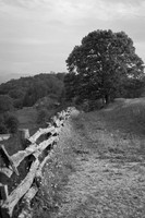 Cataloochee Ranch