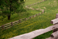 Cataloochee Ranch
