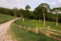 Cataloochee Ranch