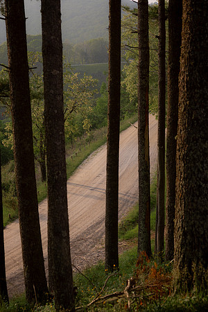 Cataloochee Ranch