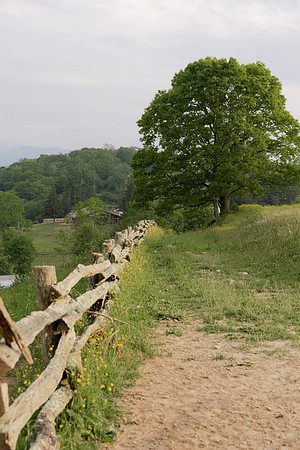 Cataloochee Ranch