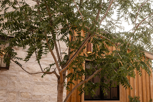 4x6 Full