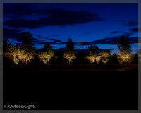 8x10 Full w/ watermark