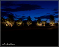 8x10 Web w/ watermark