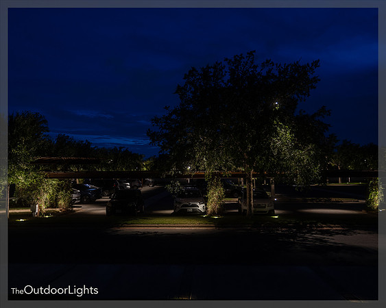 8x10 Web w/watermark
