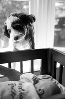 Christian Jayce - Newborn