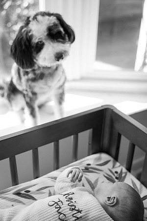Christian Jayce - Newborn