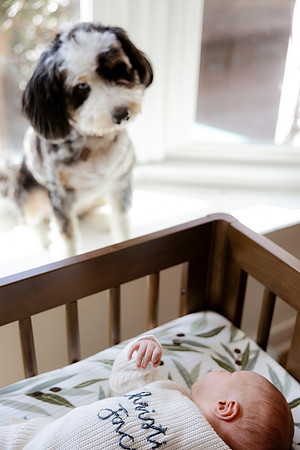 Christian Jayce - Newborn