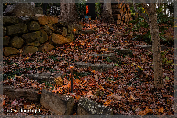 4x6 Full Watermark