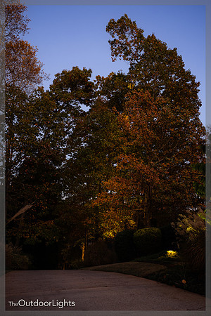 4x6 Full Watermark