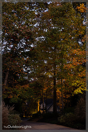4x6 Web Watermark