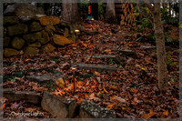 4x6 Web Watermark