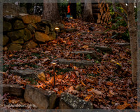8x10 Full Watermark