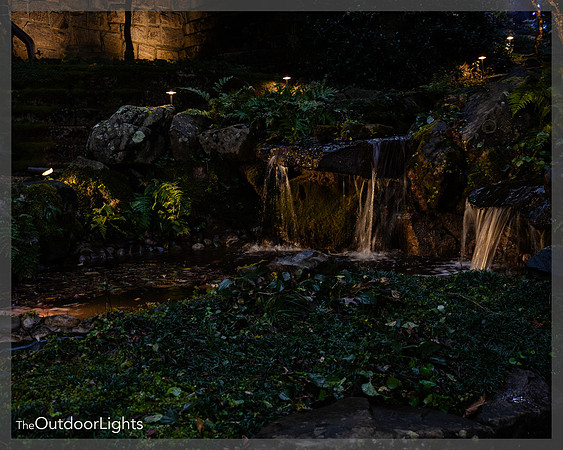 8x10 Full Watermark