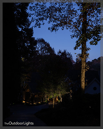 8x10 Full Watermark
