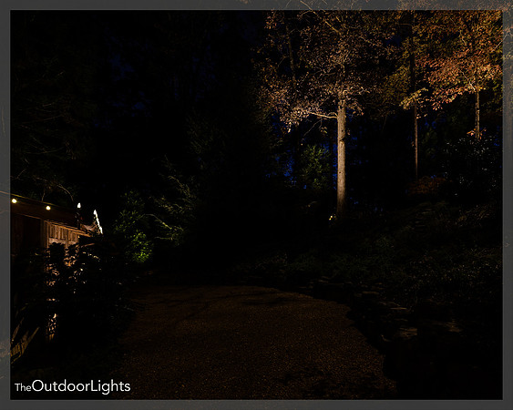 8x10 Full Watermark