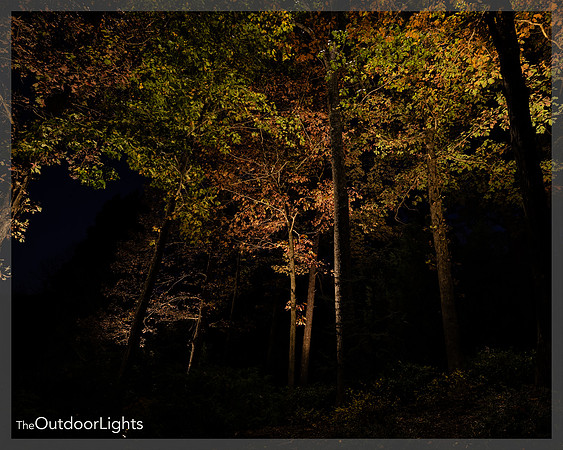 8x10 Full Watermark