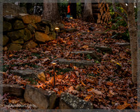 8x10 Web Watermark
