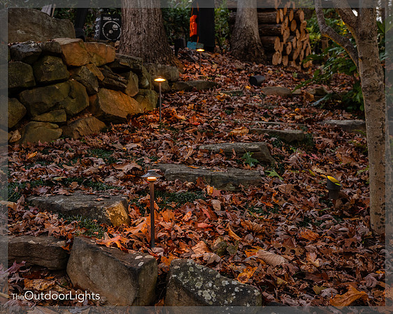 8x10 Web Watermark