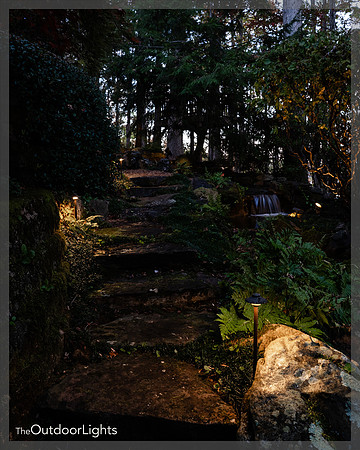 8x10 Web Watermark