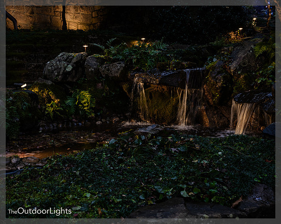 8x10 Web Watermark