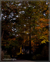 8x10 Web Watermark