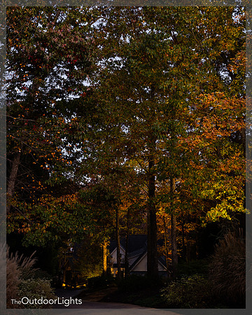 8x10 Web Watermark