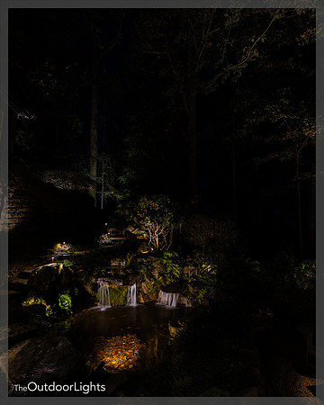 8x10 Web Watermark