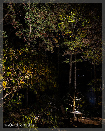 8x10 Web Watermark